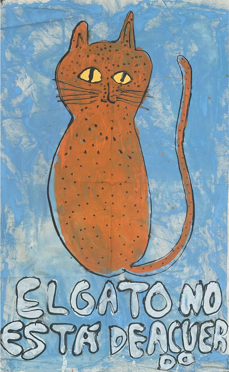 El gato no está de acuerdo