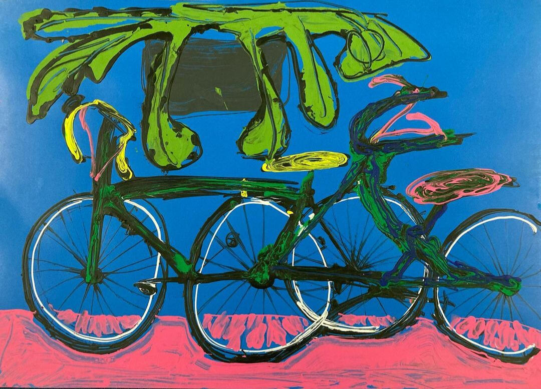 Bicis